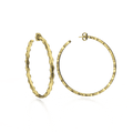 Sacred Hoops Earrings